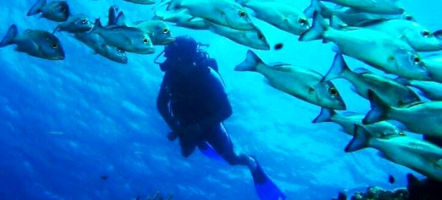 scuba-diving-and-snorkeling